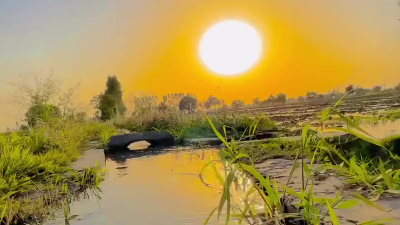 The most beautiful video of village life.