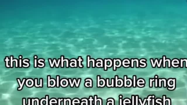 Wow this is so cool 😎😮