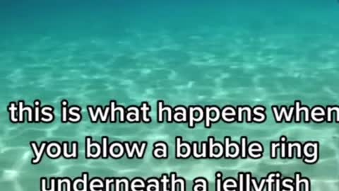 Wow this is so cool 😎😮