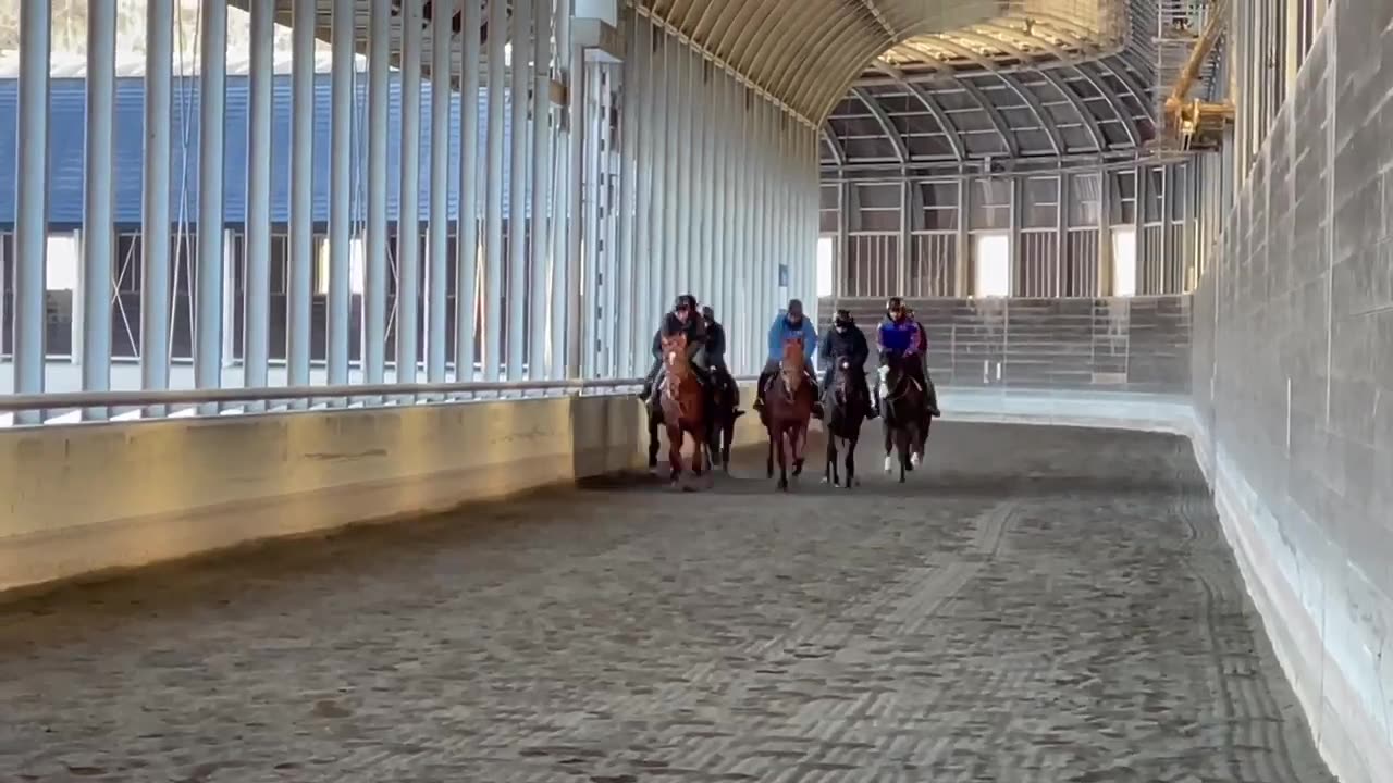 Horse raiding everyday morning exercise