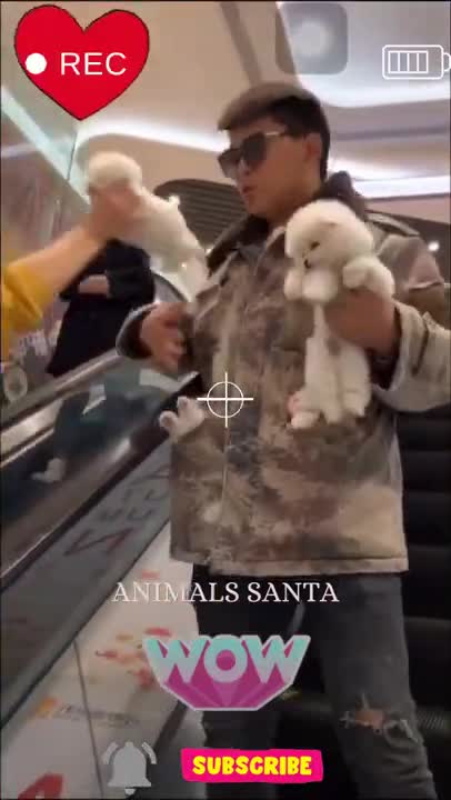 i can’t stop laughing at this, funny dog