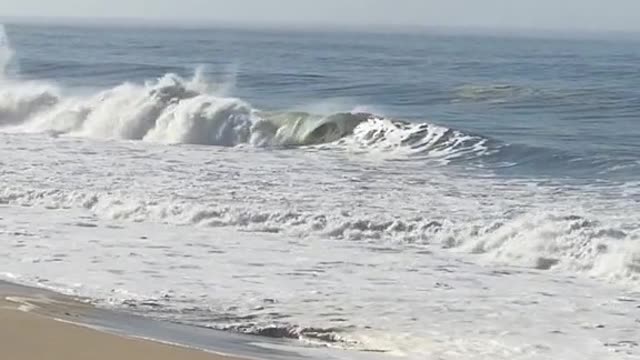 you pull up to the beach and see this wyd?