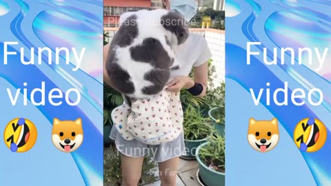 Funny Animals Videos 😂 Funniest Cats and dogs 😹🐶 part 3