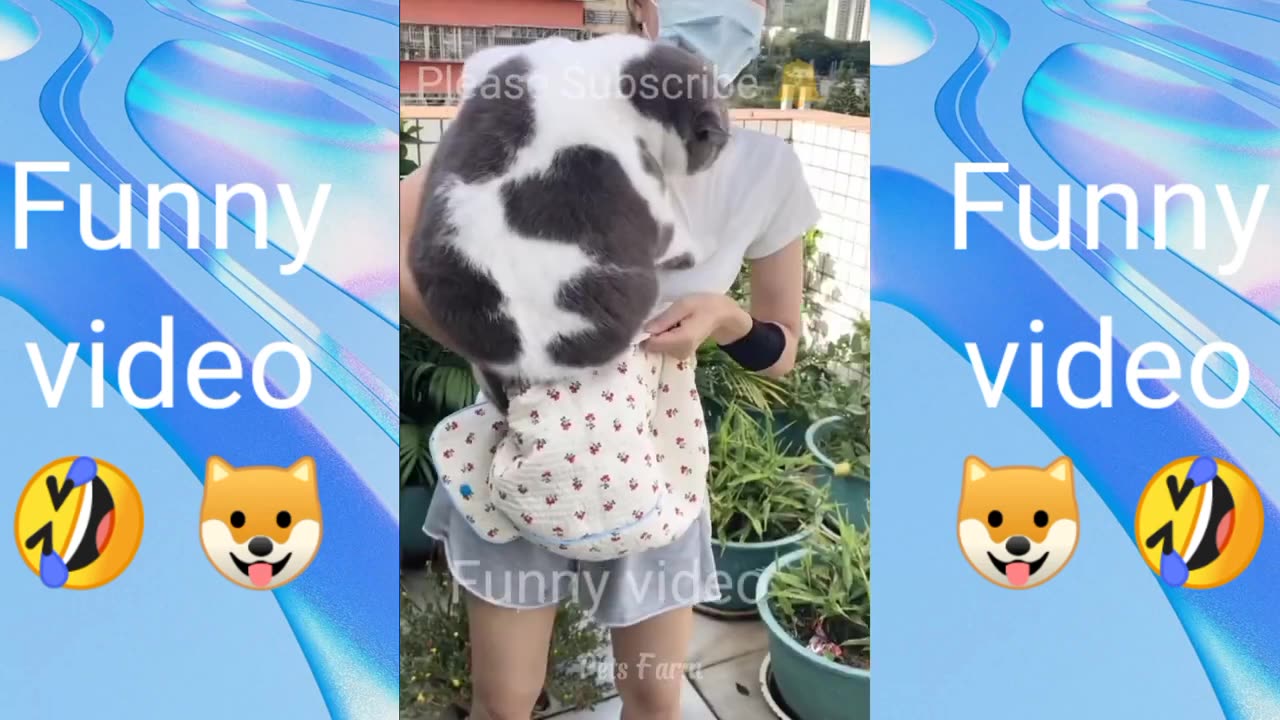Funny Animals Videos 😂 Funniest Cats and dogs 😹🐶 part 3