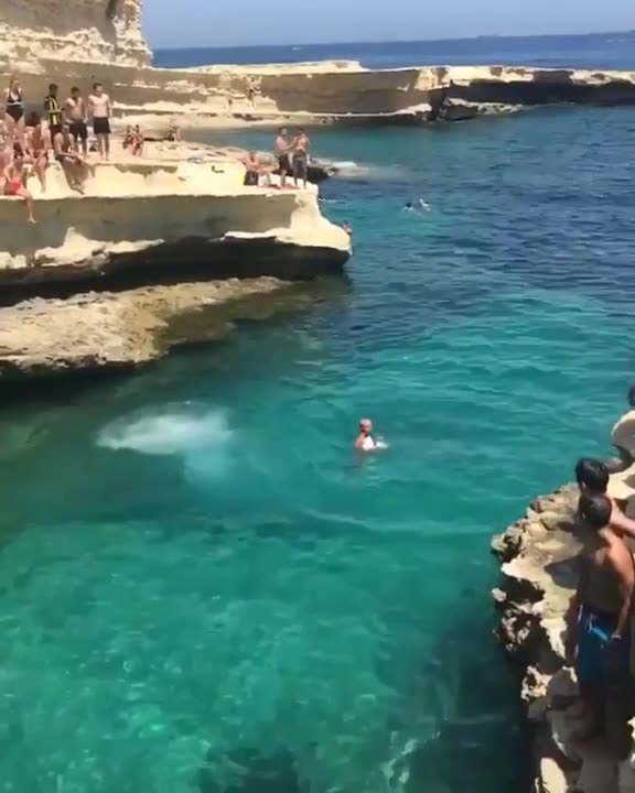 Here I come!! Brave dog loves diving into the ocean