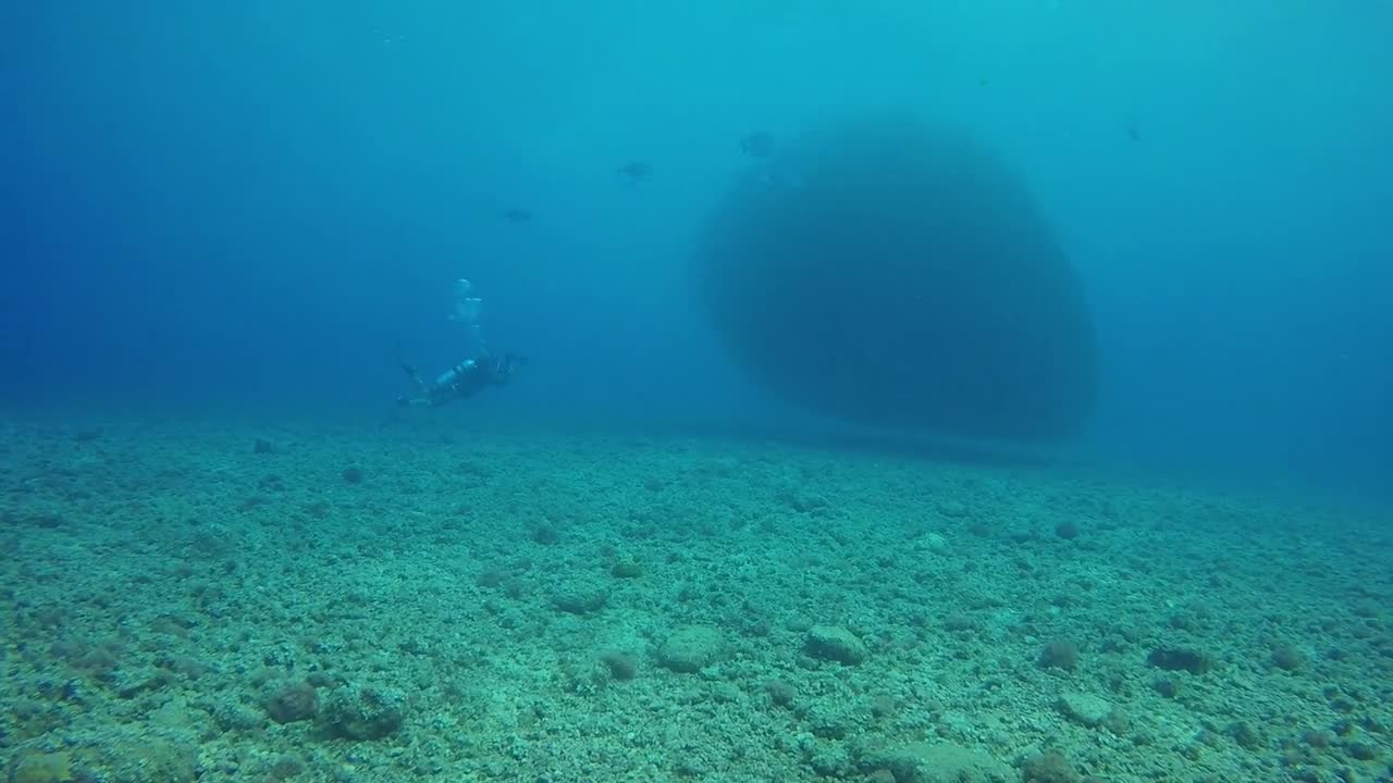 A beautiful image at the bottom of the ocean