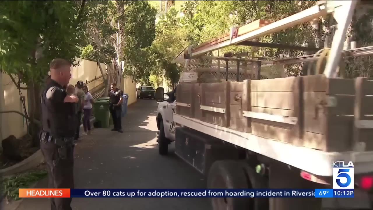 Disrespectful squatters accused of defacing million-dollar Hollywood Hills mansion