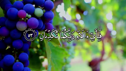 Sura Rehman