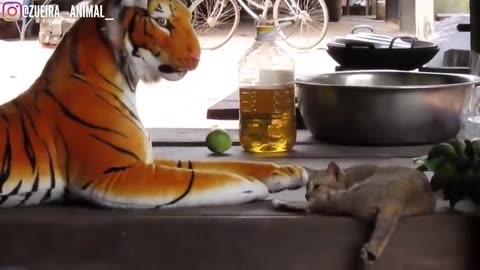 Assustando CACHORRO com TIGRE de pelucia 😱😆 - Fake Tiger vs Real Dogs Prank Very Funny
