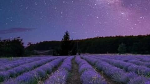 Facts About Milkyway