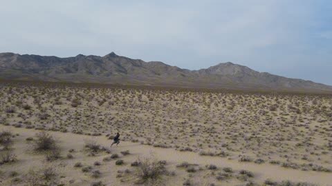 Cinematic drone footage (mohave desert sand dunes)