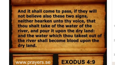 Live Audio Bible Free For All