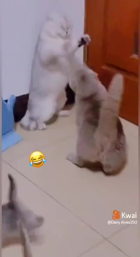 don't mess with my son if you don't you will catch