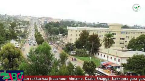 Oduu Waaree ONM-ABO Adoolessa 21, 2023