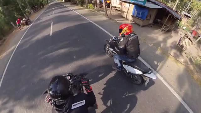 arnel profile video