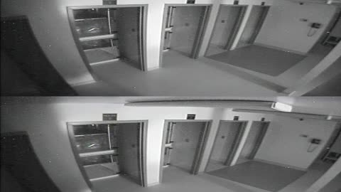 1704CRIB01CribAnalysisArea_2021-01-06_08h20min02s123ms.mp4