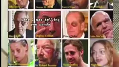 EXPOSING PANDA EYES + PEDOPHILIA + EPSTEIN = WILL GET YOU ARRESTED