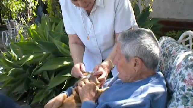 Papa gets a puppy.AVI