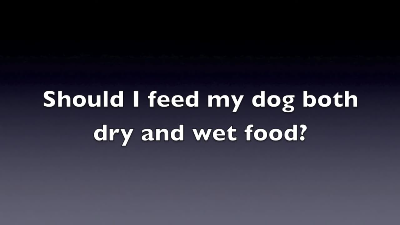 Dogs Nutrition Tips