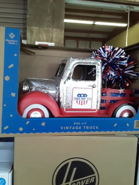 The Coolest lawn ornament ever!