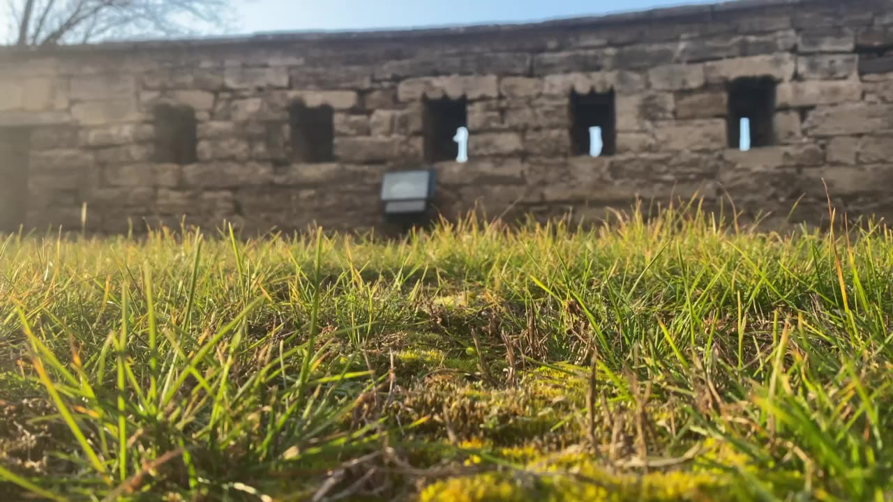 IPhone 11 Pro this video was shot with IPhone 11 Pro