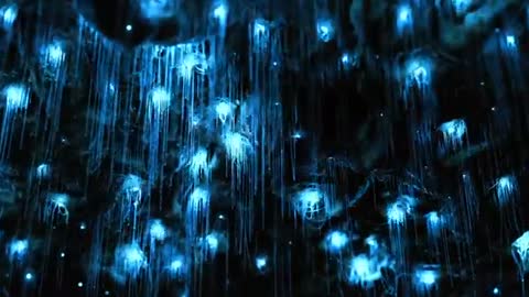 Non-Fungible Planet | YouTube