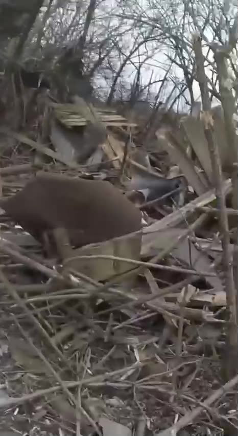 Кадры боев в Авдеевке