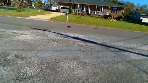 RC Speed Demon On-Road With Green Body