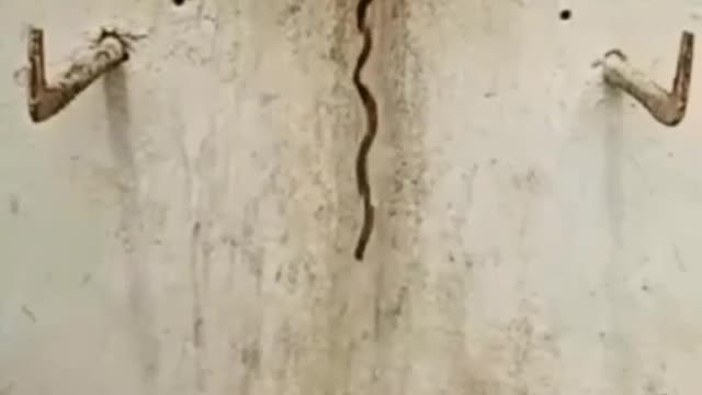 The water vortex phenomenon…