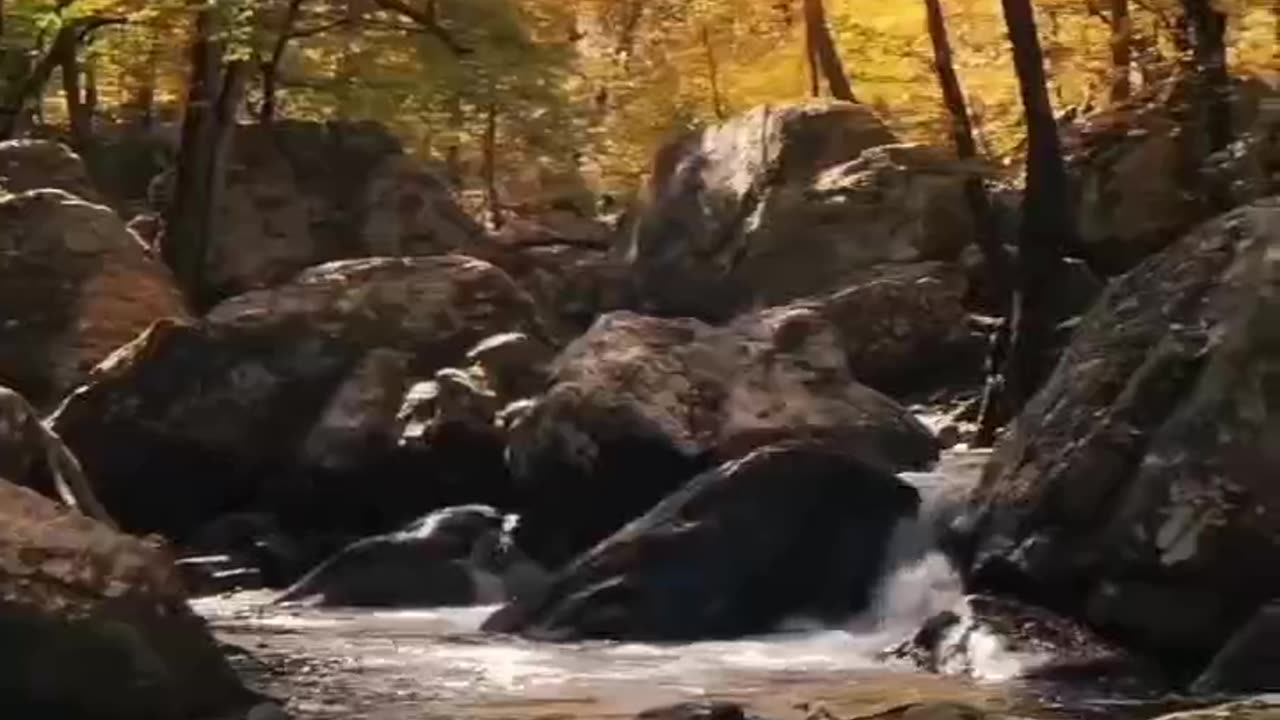 close the eye and listen this sound #shortvideo #subscribe #varilvideo #nature