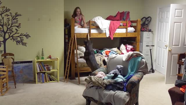 The Great Bunk Bed Ladder Climbing Experience