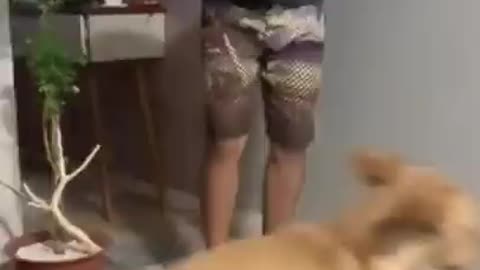 😁