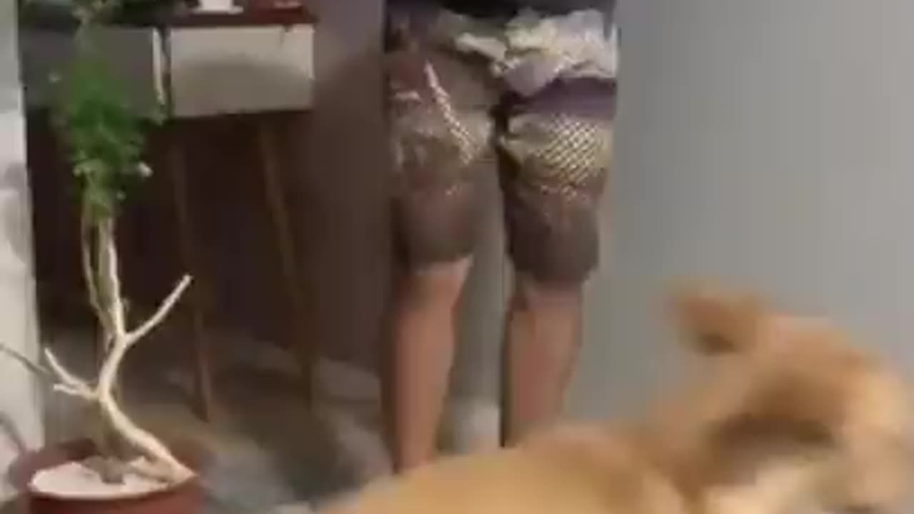 😁