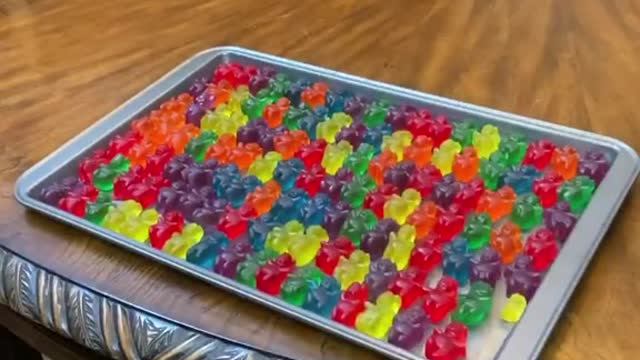 tryingtomeltGUMMYBEARSinthearizonaheat☀️#fyp#WelcomeWeek#gummybears