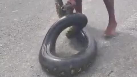 Kickboxing legend Tyrone Spong catches an Anaconda with his bare hands...