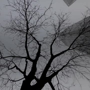 World Economic Forum brags that China is controlling weather with “cloud seeding”