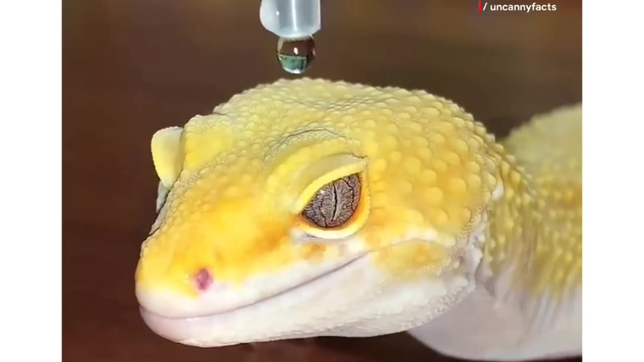 Hydrophobic skin 🐍🙄