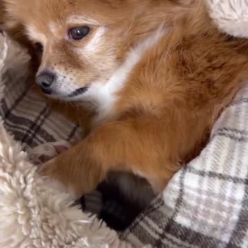 I need my beauty sleep