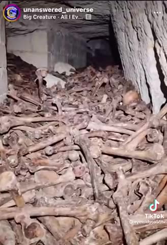 Creature in Ukrain?!….