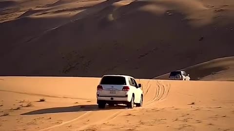 Desert Safari with ZX Landcruiser