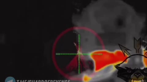 Must-See Footage from the Thermal Imager of a Ukrainian Sniper