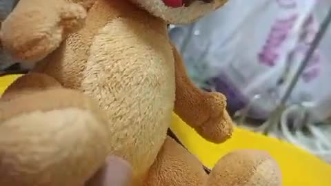 Teddy bear Funny