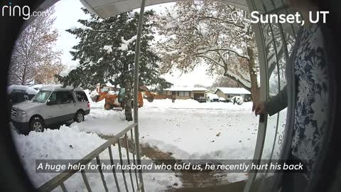 Little Girl's Close Encounter With A Bobcat & Dad Forgets Dog Outside