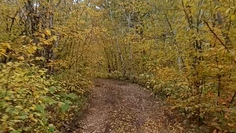 Polo peak in the fall