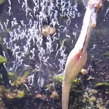 Welcome to the world