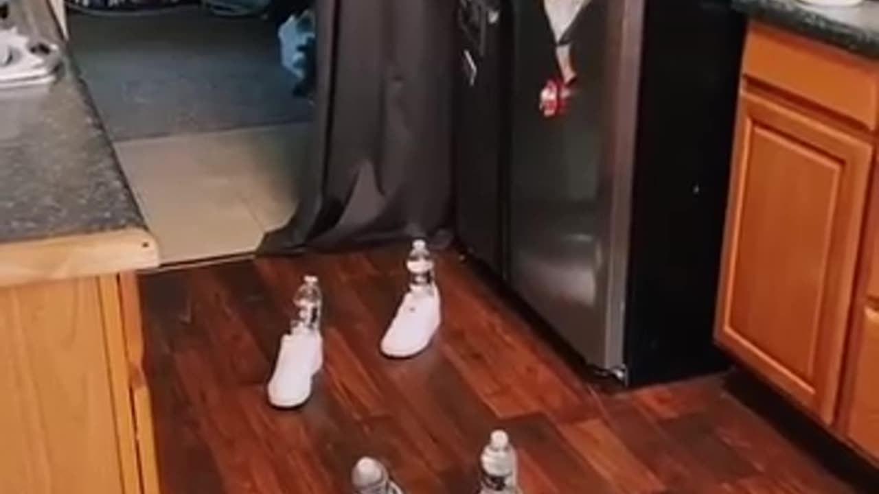 Funny Couple Video Goals