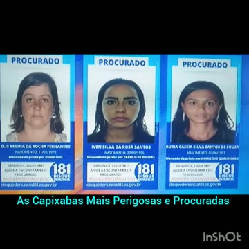 Utilidade pública,As Mais Procuradas