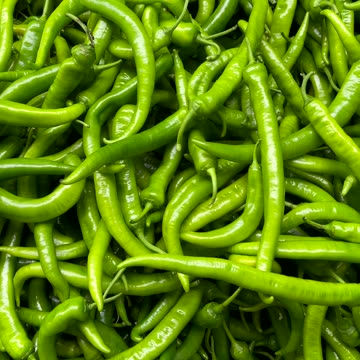 Lettuce is packed with essential vitamins and minerals