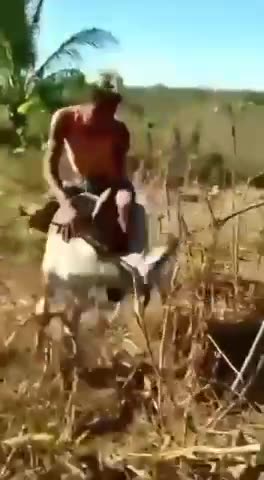 THIS GUY GOT EXACTLY WHAT 🤣HE DESERVED