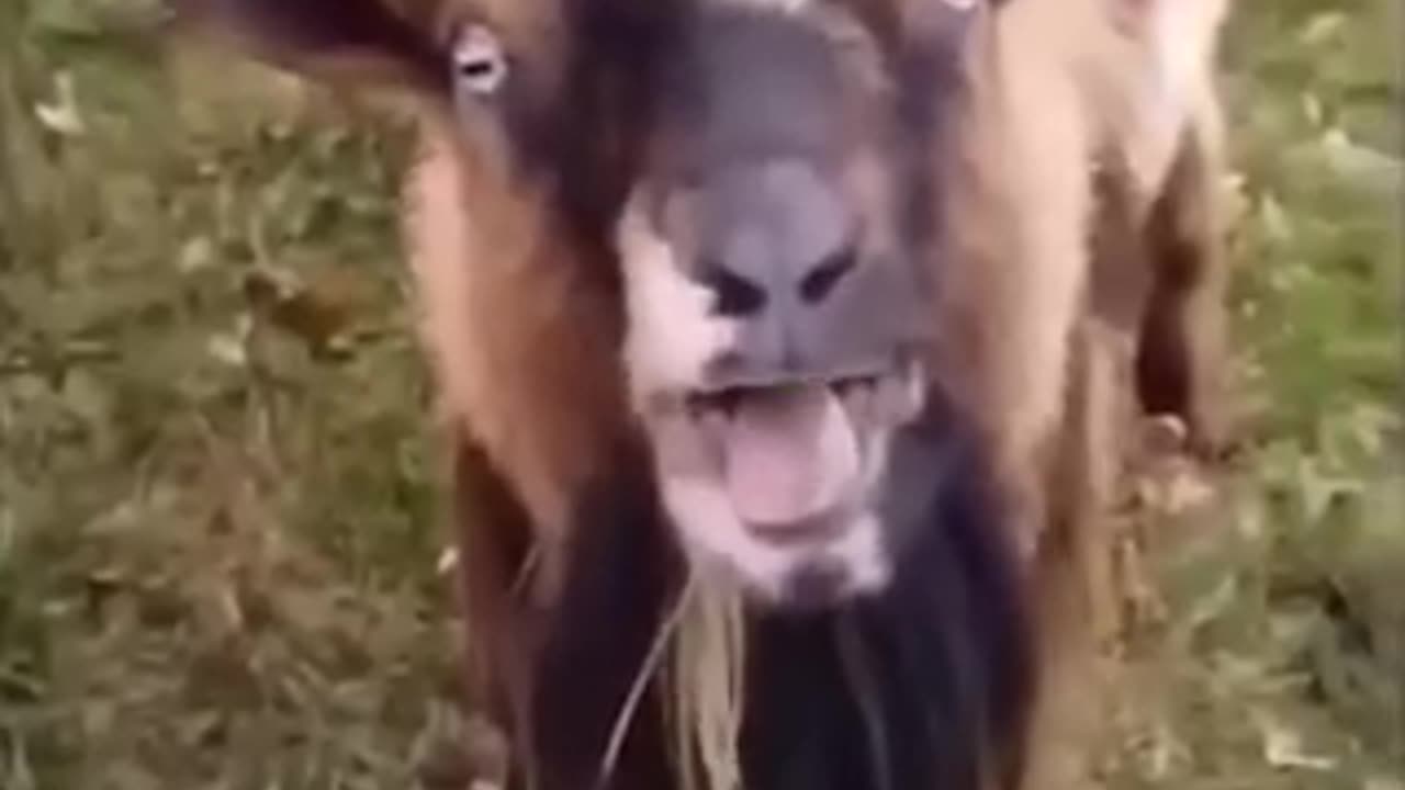 🤣🤣🤣🤣🤣🤣🤣